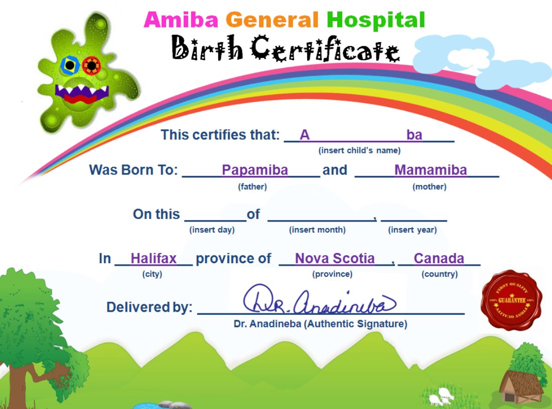 Comfy Amiba Monsters Car Pillow with Birth Certificate - Amiba