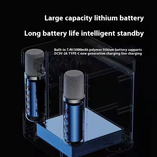 Fun Sing Along Karaoke Machine with Portable Design for Parties and Gatherings
